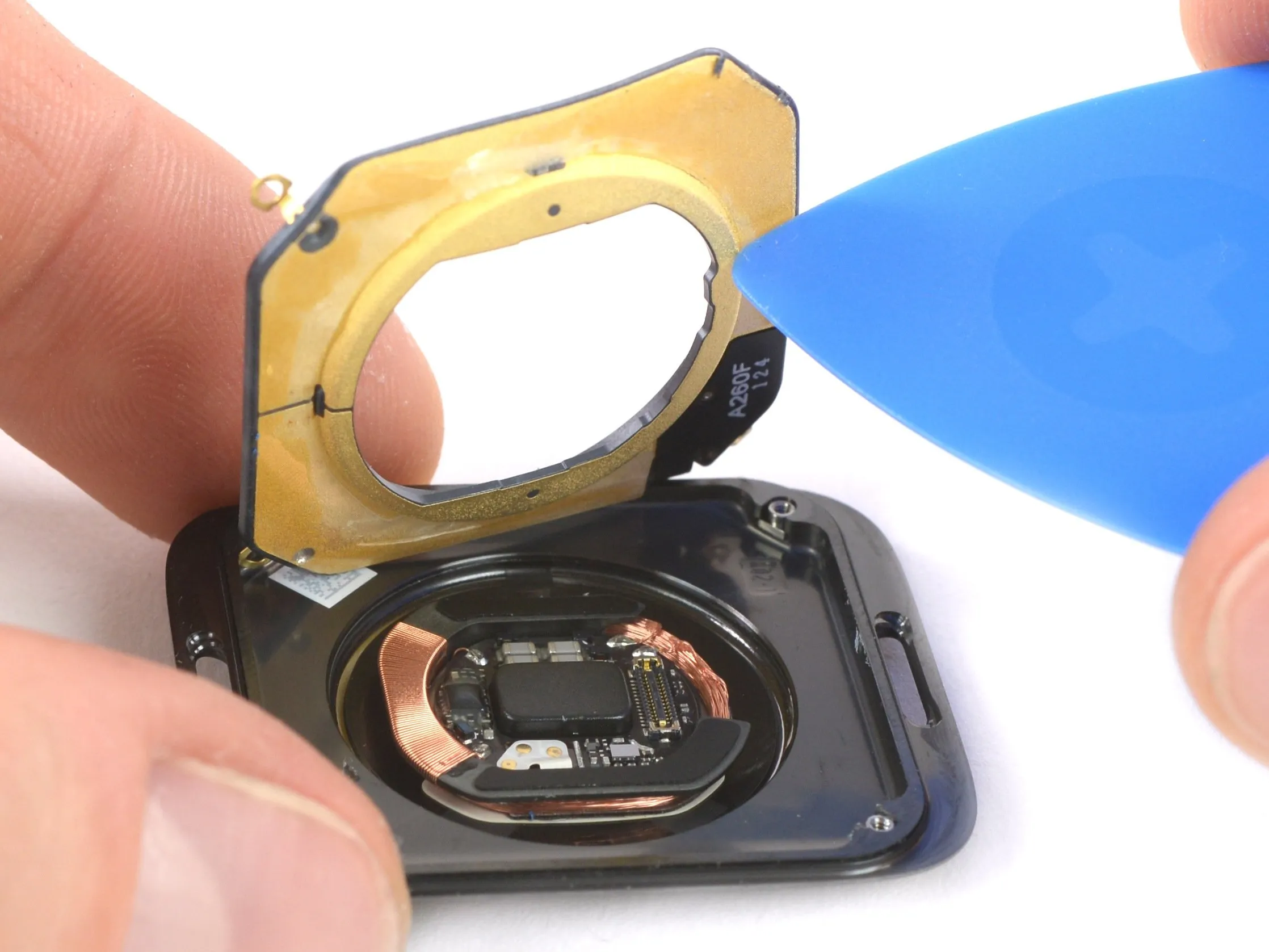 Apple Watch Series 4 Teardown: шаг 13, изображение 1 из 3