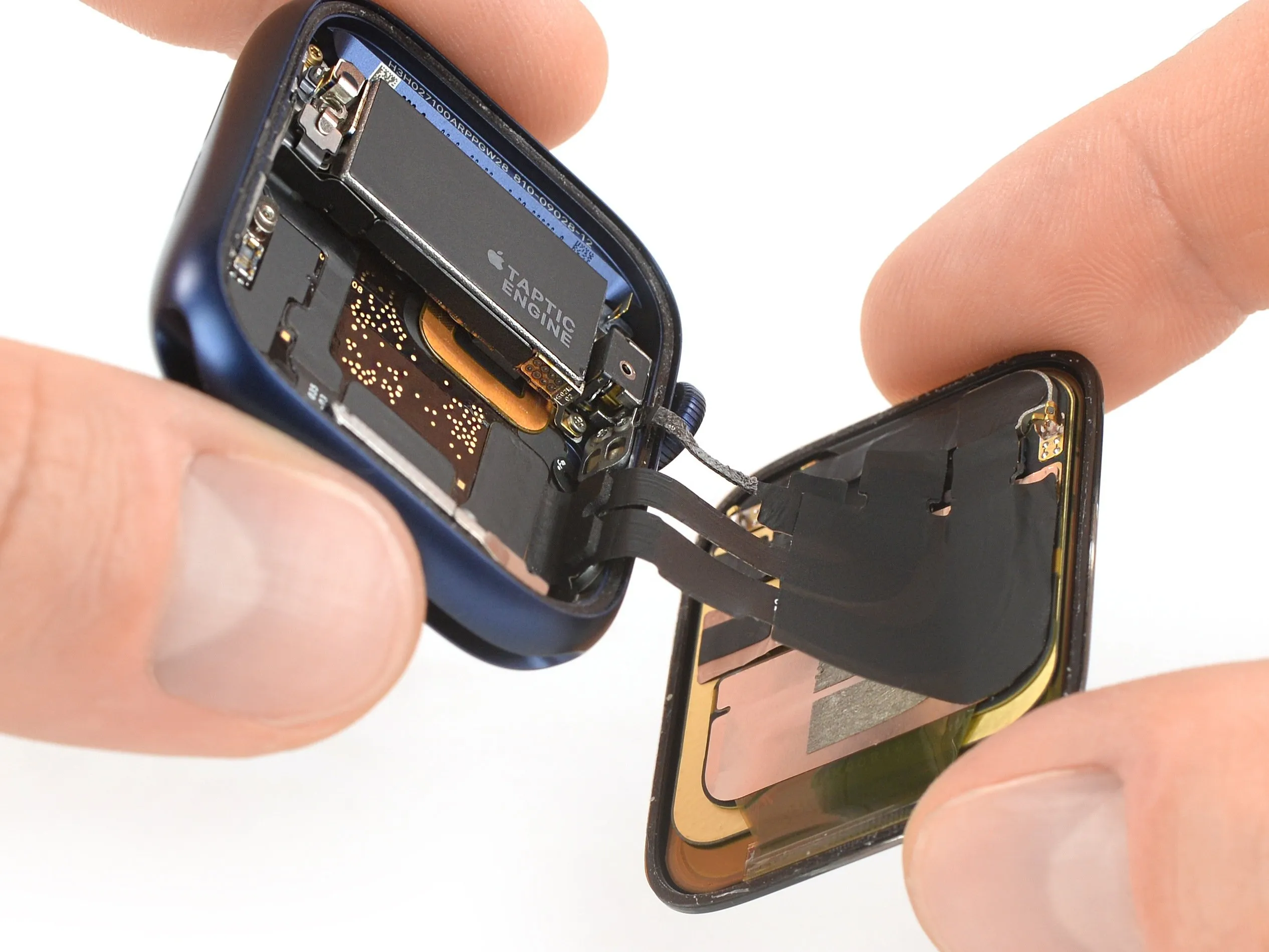 Apple Watch Series 6 Teardown: шаг 4, изображение 1 из 3