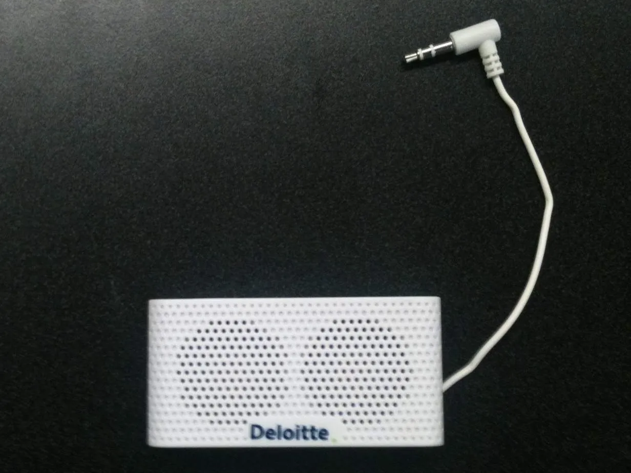 Разборка Deloitte PL-4238 Pocket Mini-Speaker