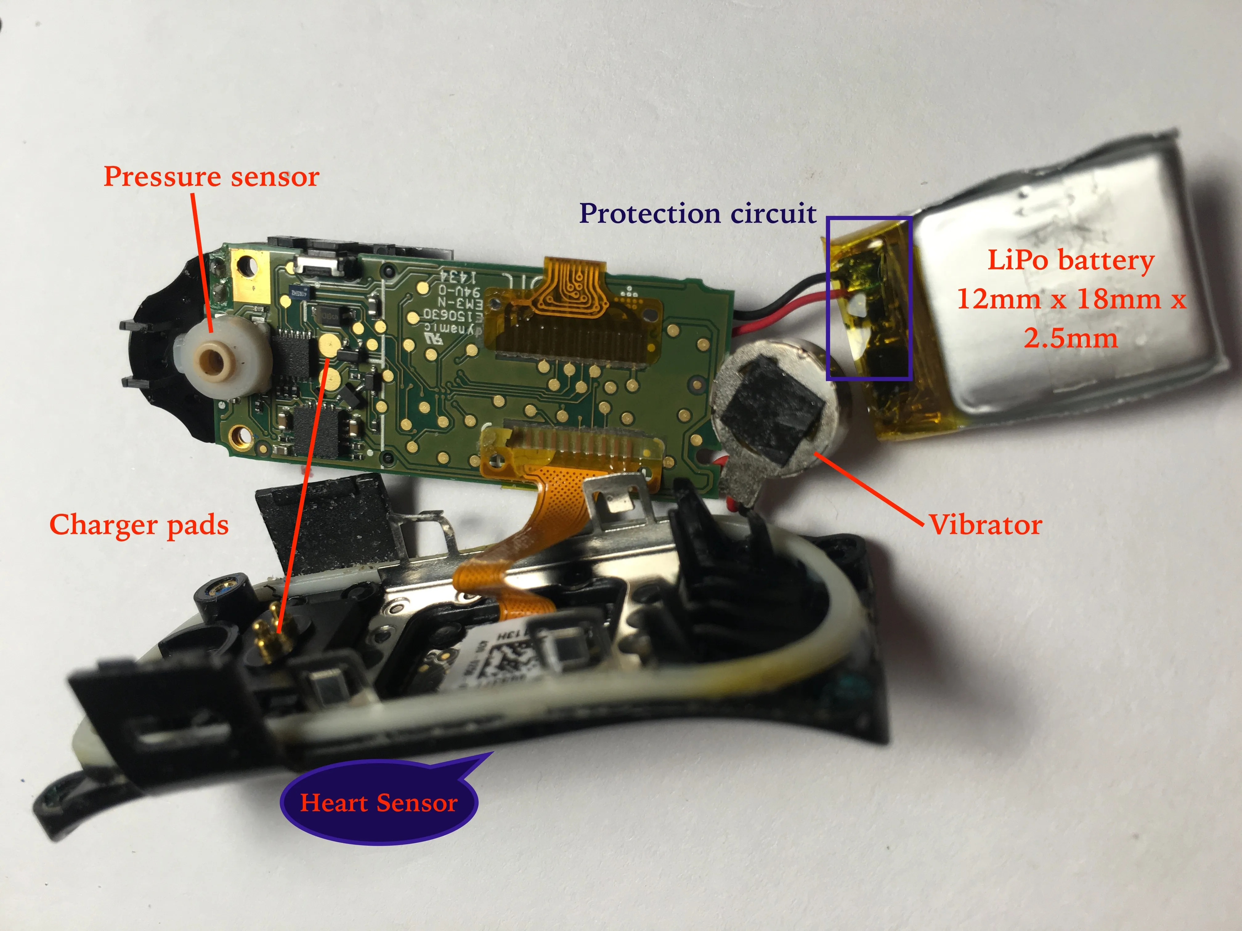 Разборка Fitbit charge HR, изучение внутренностей: шаг 3, изображение 3 из 3