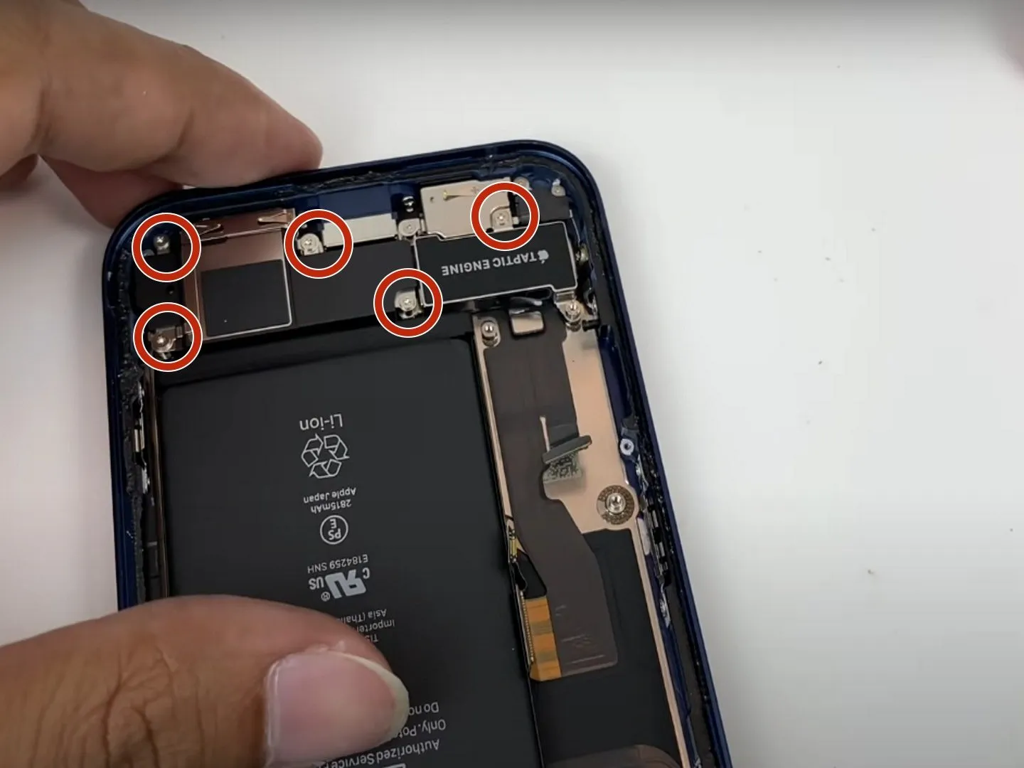 Разборка iPhone 12, извлечение динамика: шаг 11, изображение 1 из 2