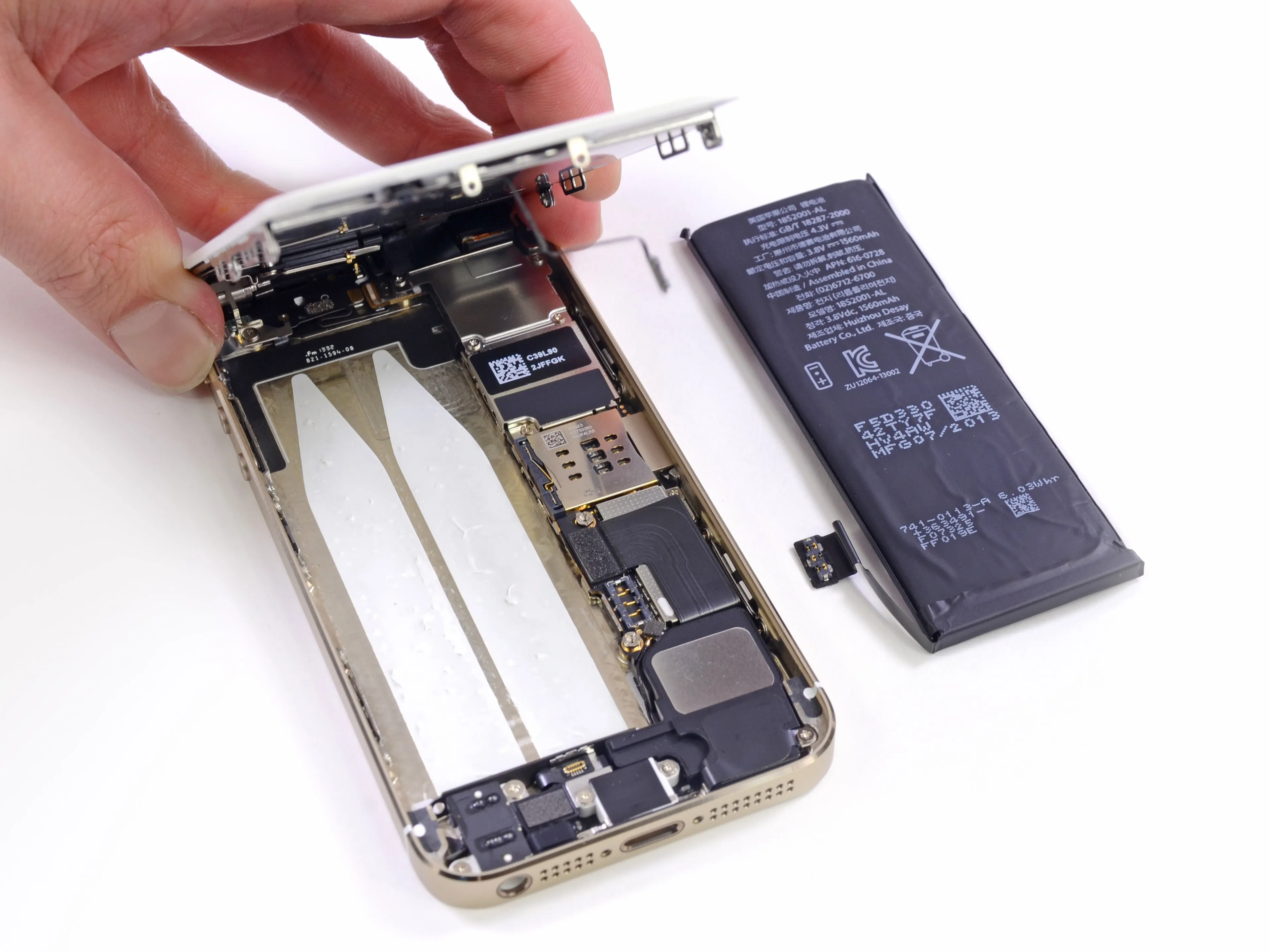 Разборка iPhone 5s: шаг 6, изображение 3 из 3